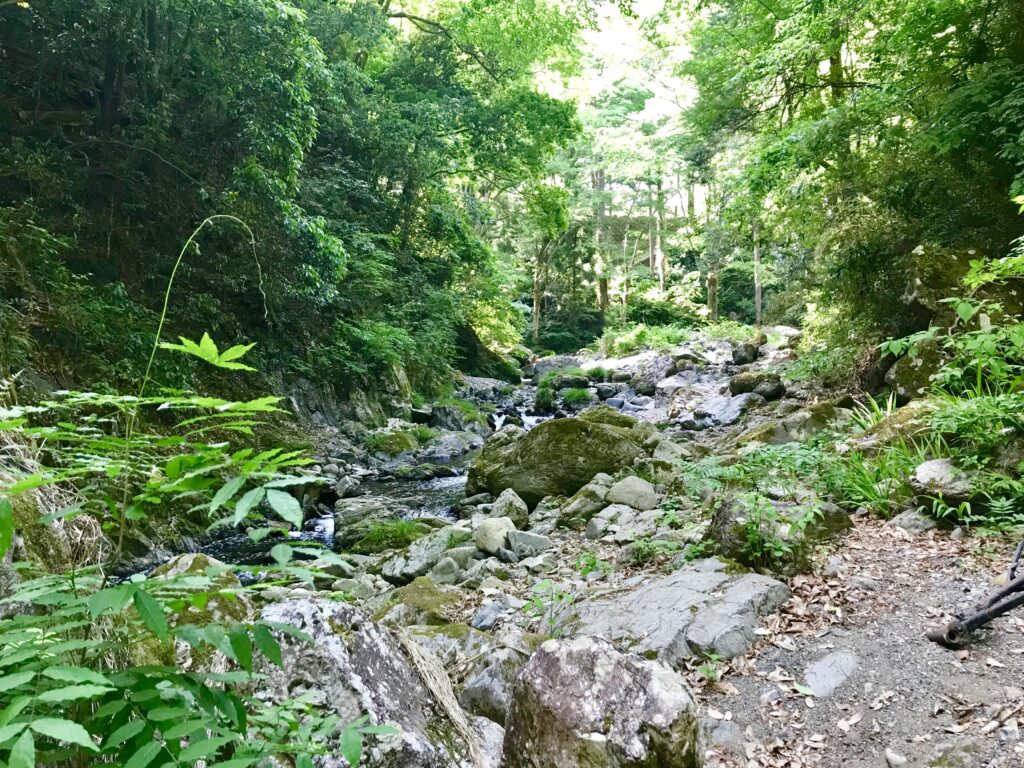 カルロス　あきる野　自然　東京　田舎