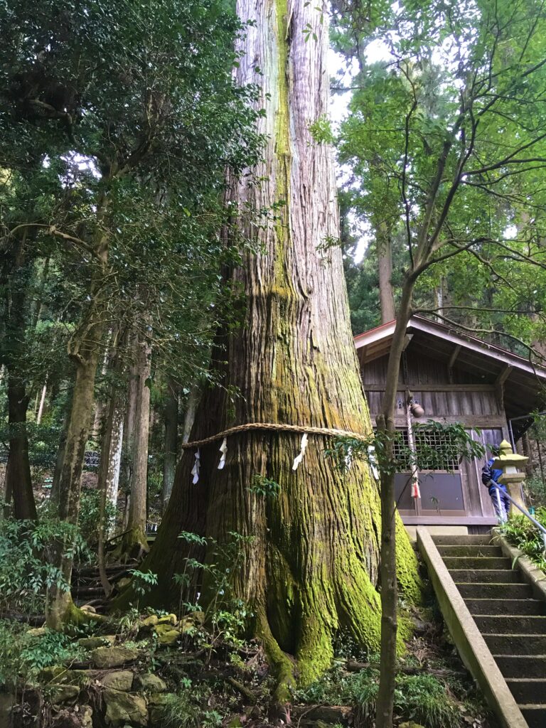 カルロス　あきる野　自然　東京　田舎