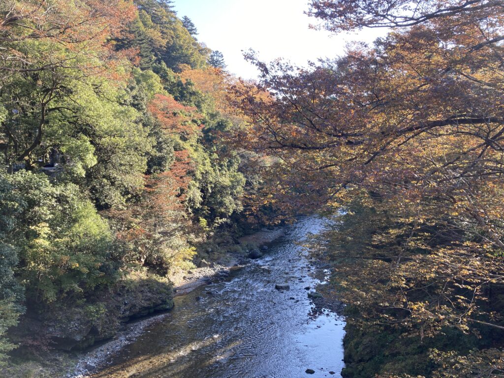 カルロス　あきる野　自然　東京　田舎