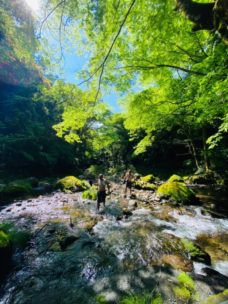 養沢川　東京